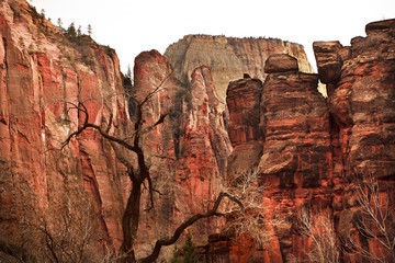 Great White Throne Red Rock Walls Zion Canyon National Park Utah