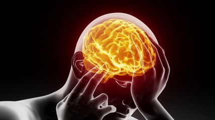 From spine to brain journey