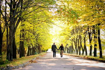 couple walks down the park alley