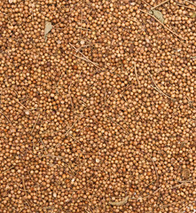 spices