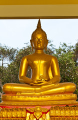Buddha Meditation
