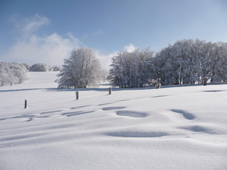 Paysage de neige en Aubrac