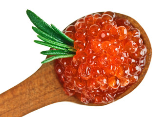Red salmon caviar heap in wooden spoon with rosemary leaf