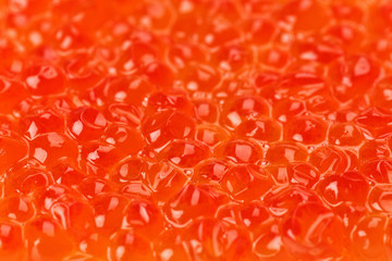 Red salmon caviar texture background