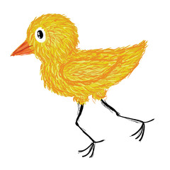 yellow chicken