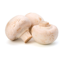 Champignon mushroom