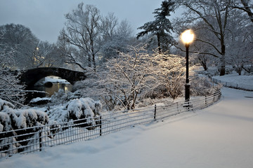 Central Park in snow storm