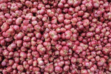 Abundance of red onions