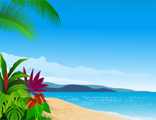 Fototapeta na wymiar tropical beach background