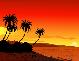 tropical beach background