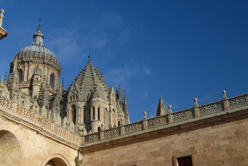 Fototapeta na wymiar Szczegółowo Salamanca katedry