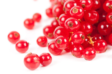 Red currant