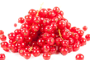 Red currant