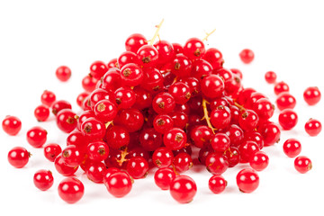 Red currant