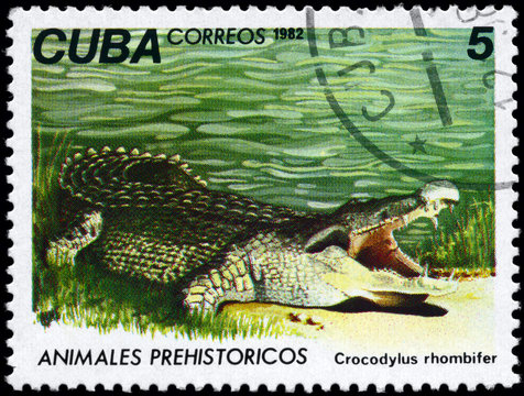 CUBA - CIRCA 1982 Crocodile