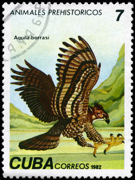 CUBA - CIRCA 1982 Eagle