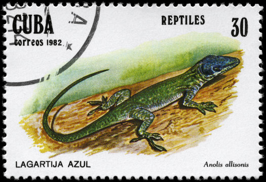 CUBA - CIRCA 1982 Lizard