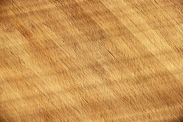 Wood background
