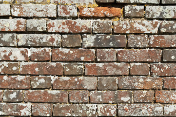 Old Brick Wall