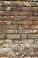 Old Brick Wall