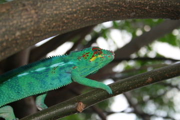 R&eacute;union plage