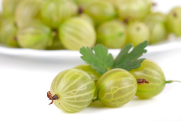 gooseberries