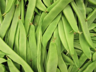 Jud&iacute;as verdes planas