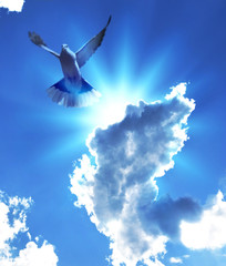 volo spirituale