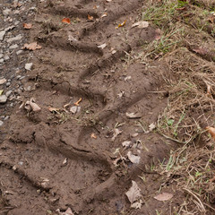 Fototapeta premium Tractor Tracks in the Mud