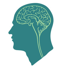 Green head and brain