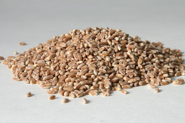 Dinkel geschliffen