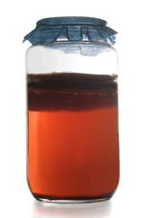 Kombucha