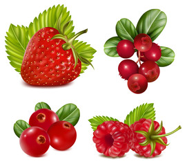 Vector illustration. Set of red berries with leaves.