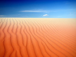 Sand Dunes Landscape