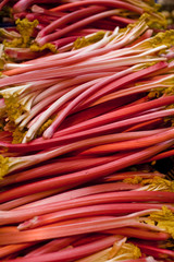 Rhubarb pattern