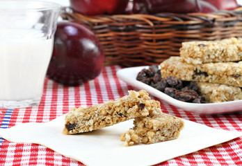 Healthy Granola Bar and Fruit Snacks