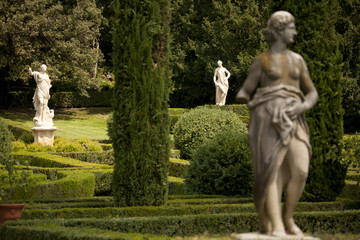 Fototapeta na wymiar Verona, Palazzo Giusti gardens