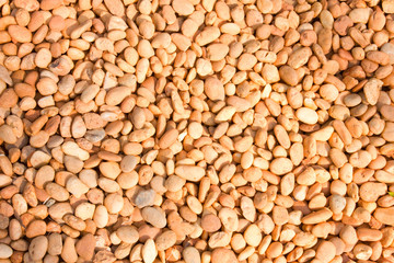 The Pebble floor background texture