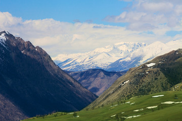 Fototapeta premium Green summer pasture