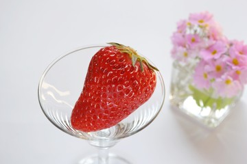 イチゴ
