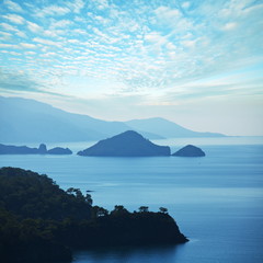 Fototapeta premium Sea coast