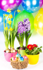 Colorful composition. Easter eggs with fresh spring flowers