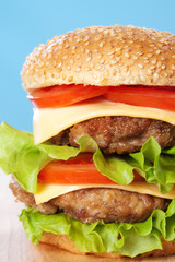 Double cheeseburger