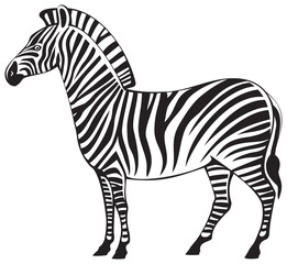 Fototapeta na wymiar Zebra vector silhouette