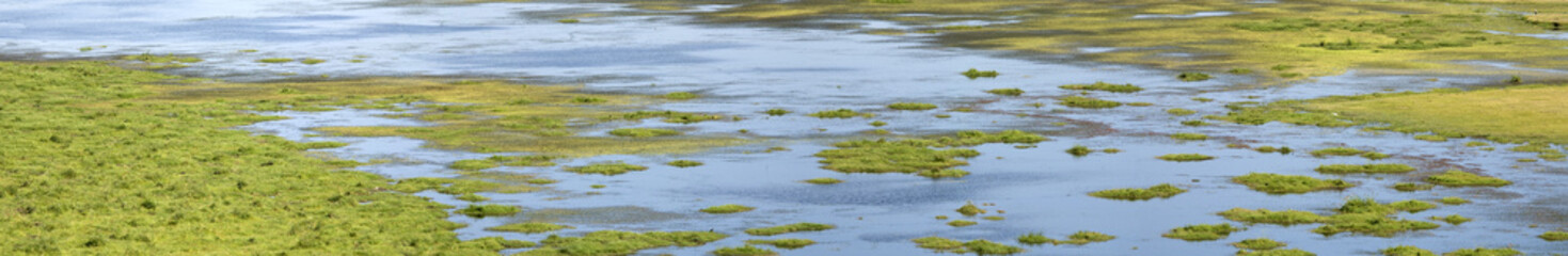 Fototapeta premium Amboseli National Park