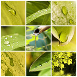 Collage eau