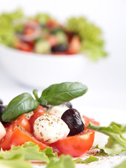 Fresh salad