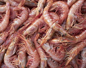 red shrimps closeup, natural background