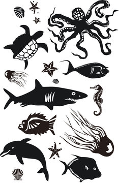 Animaux marins