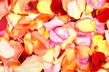 A beautiful bright close-up background of fallen petals